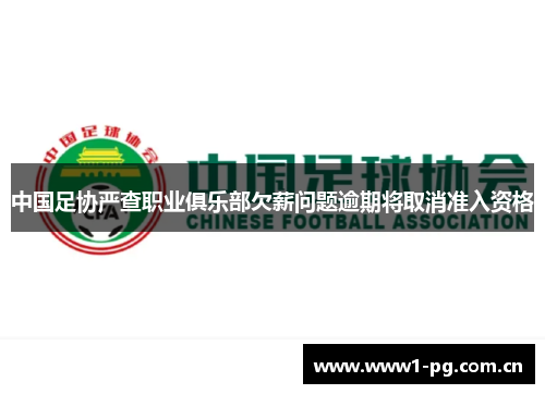 中国足协严查职业俱乐部欠薪问题逾期将取消准入资格 中国足协严查职业俱乐部欠薪问题逾期将取消准入资格
